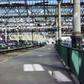 Platform 13.jpg