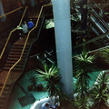 Stairs and escalators.jpg