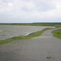 Cold and wet.JPG