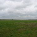 It was also very flat.JPG