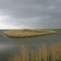 Near the North Sea.JPG