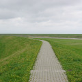 Path north of Greetsiel.JPG