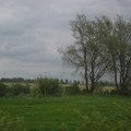 Wind farm.JPG
