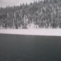 West of Whitefish 2.jpg