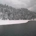 West of Whitefish 3.jpg