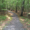 Battleground trail.jpg