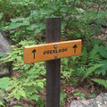 That way.jpg