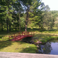 View from Henning's.jpg