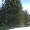 Cascades 3.jpg