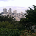 Looking downtown.jpg