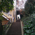 Up the hill.jpg
