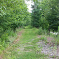 Down the towpath.jpg