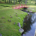 Henning geese brigade.jpg