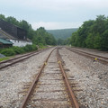 Lackawaxen yard.jpg