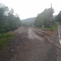 Looking west toward Lackawaxen yard.jpg