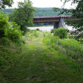On the towpath trail looking at the bridge.jpg