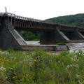Roebling Bridge from the New York side.jpg