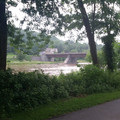 Roebling Bridge through the trees.jpg