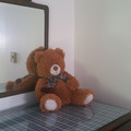 Roebling bear.jpg