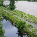 The Canal and towpath.jpg