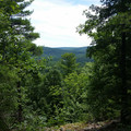 Through the trees.jpg
