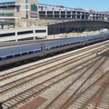Cardinal headed for the yard.jpg