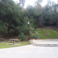 Sycamore Grove.png