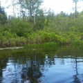 Marsh.jpg