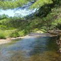 Saxtons River looking west.jpg