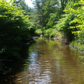 Weaver Creek looking north.jpg