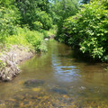 Weaver Creek looking south.jpg