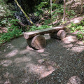 Bench.jpg