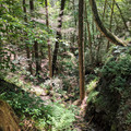 Looking down.jpg