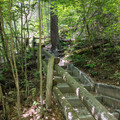 Stairs up.jpg