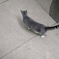 A friendly visitor.jpg
