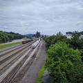Cars.jpg