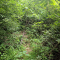 Looking east up the Allentown Industrial track.jpg