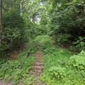 Looking west up the Allentown Industrial track.jpg