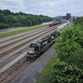 NS 4619.jpg