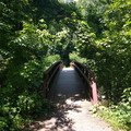 To the canal trail.jpg