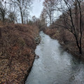 Up the Monocacy.jpg