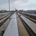 Down the yard.jpg