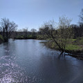 Looking east toward Camp Weidman.jpg