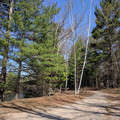 Sandy path.jpg