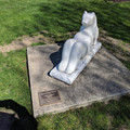Sunning Bear.jpg