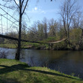 Suspension bridge.jpg