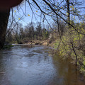 Toward the bluff.jpg