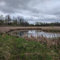 Waterland.jpg