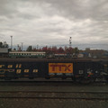 Albany yard.jpg