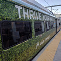 Commuter train at Denver.jpg